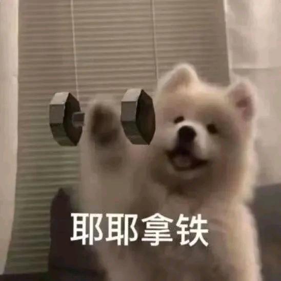 拿铁小混子
