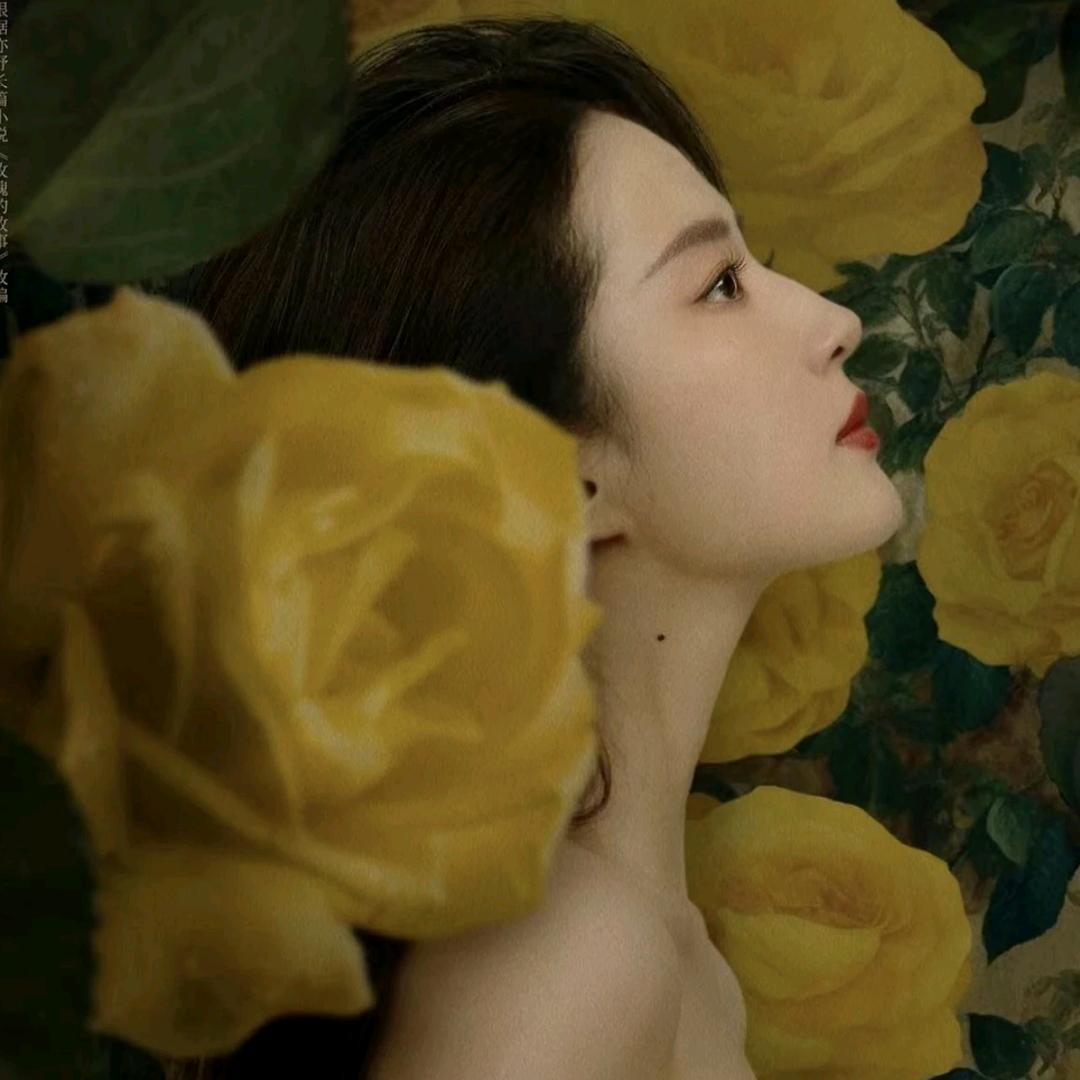 梧桐家的BBA二手车