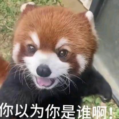 未晞