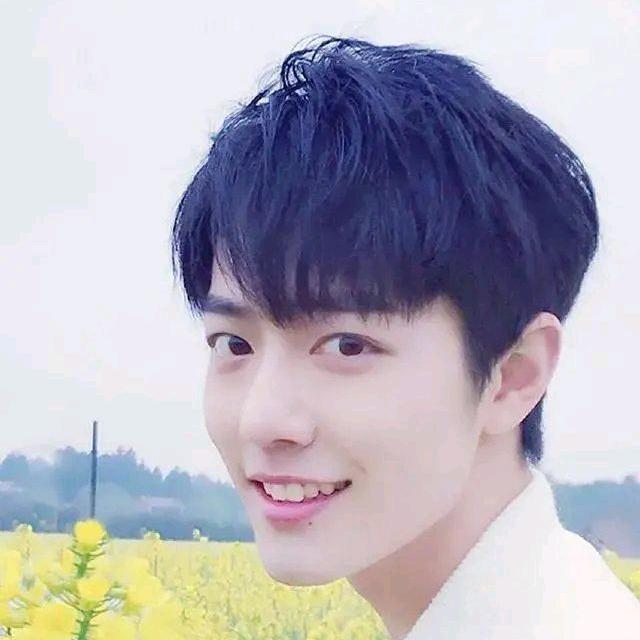 如愿的小脑瓜