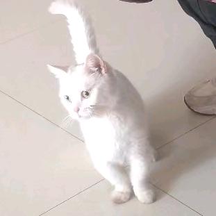 拼车联系我