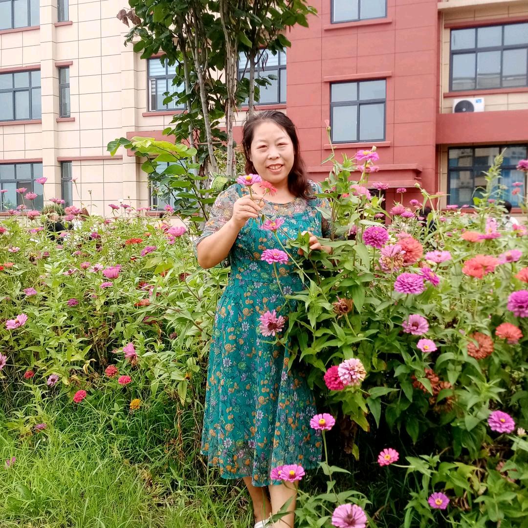 张三丈母娘🌹（张三团队）