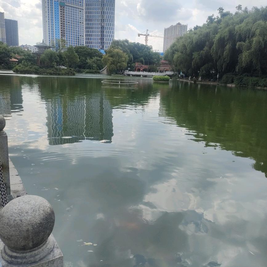 一起淋雨