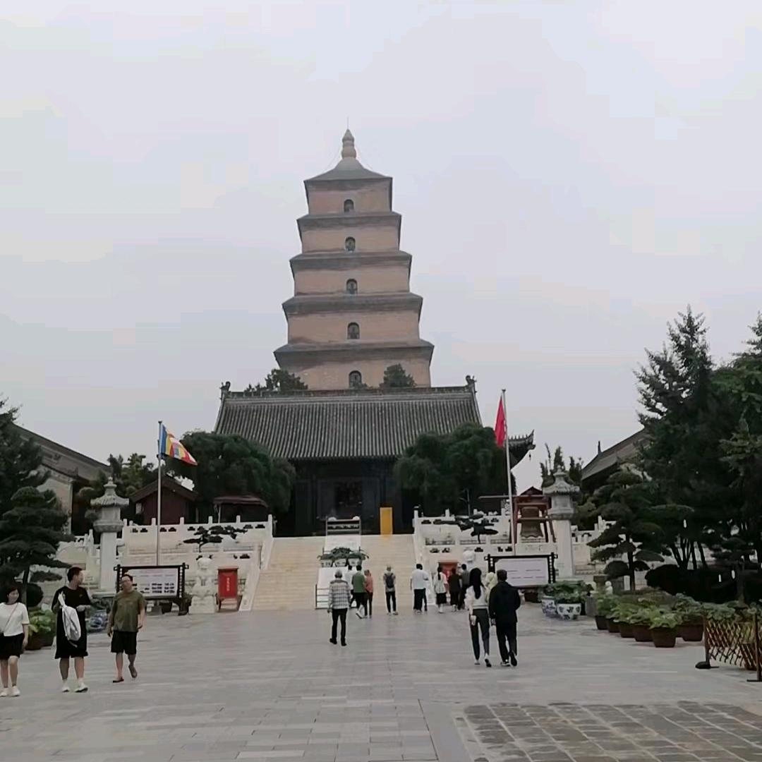 寒星