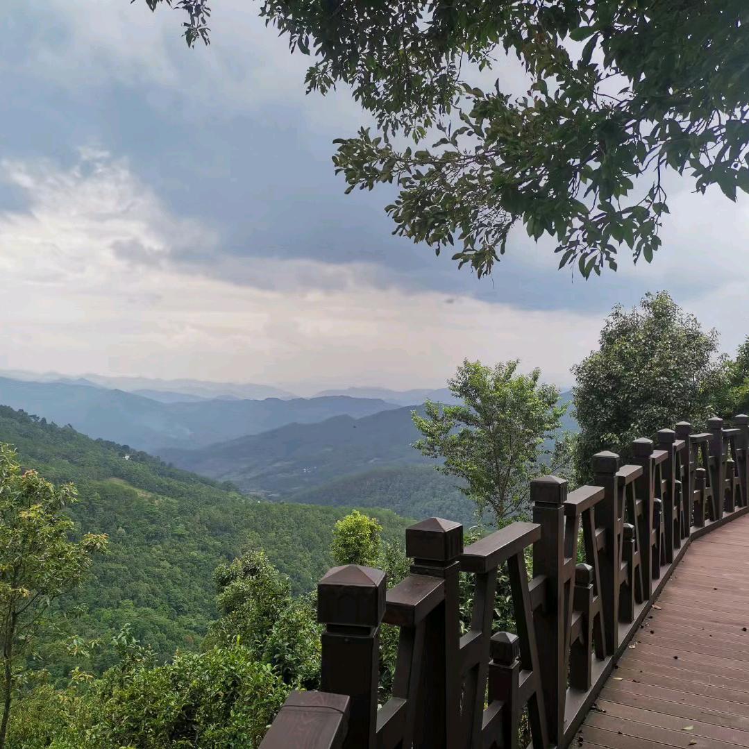 爱出者爱返，福往者福来