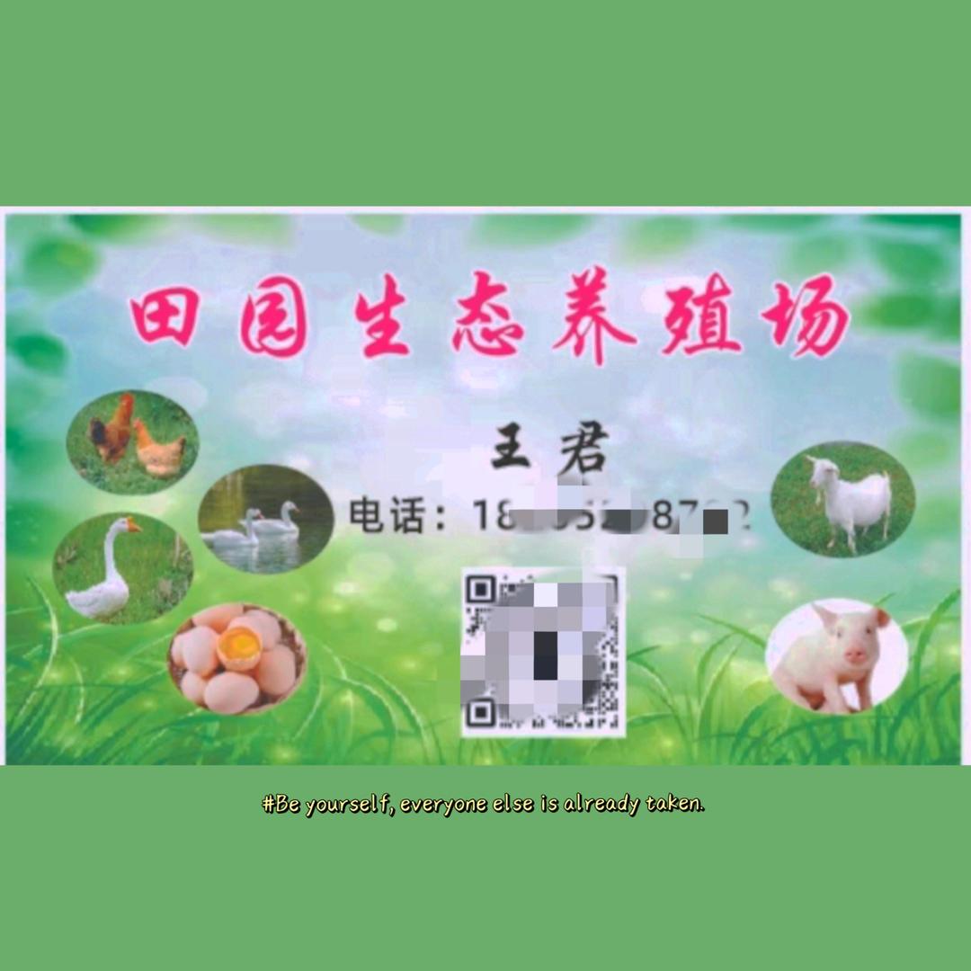 田园生态养殖场-王君