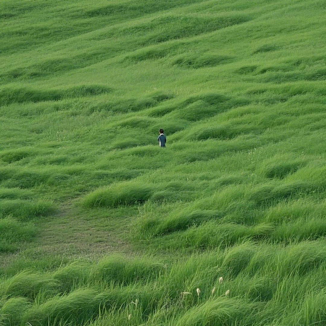 永远的摩羯