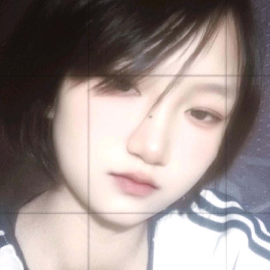 小布丁元宝