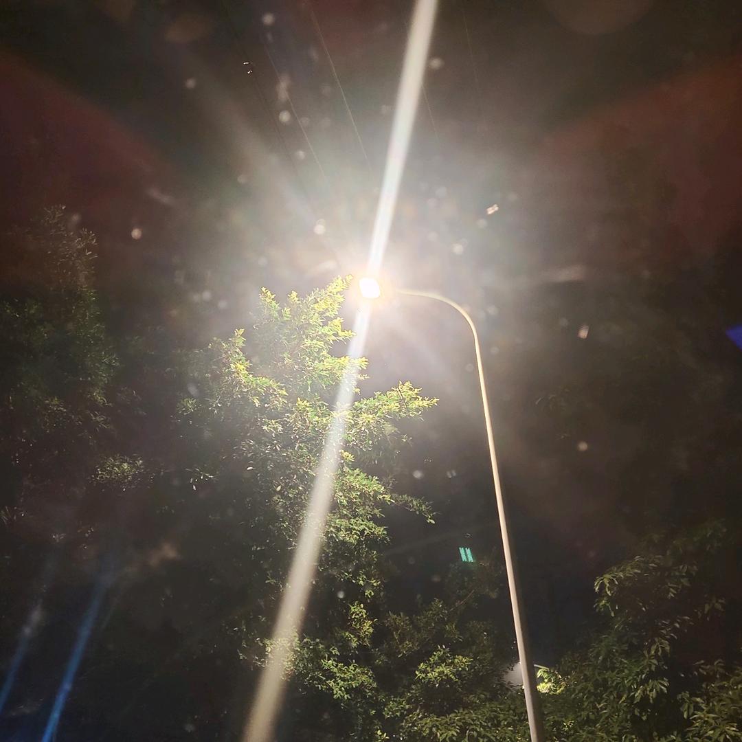 凶的🅿️爆伐木团队  🍀