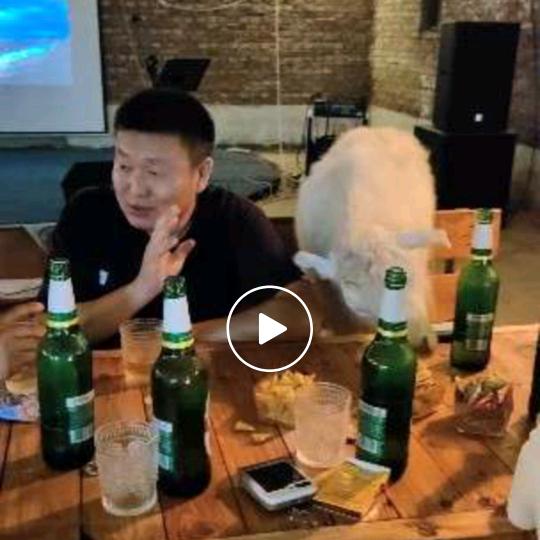 磊哥-呼伦贝尔小满青年旅舍(民宿)