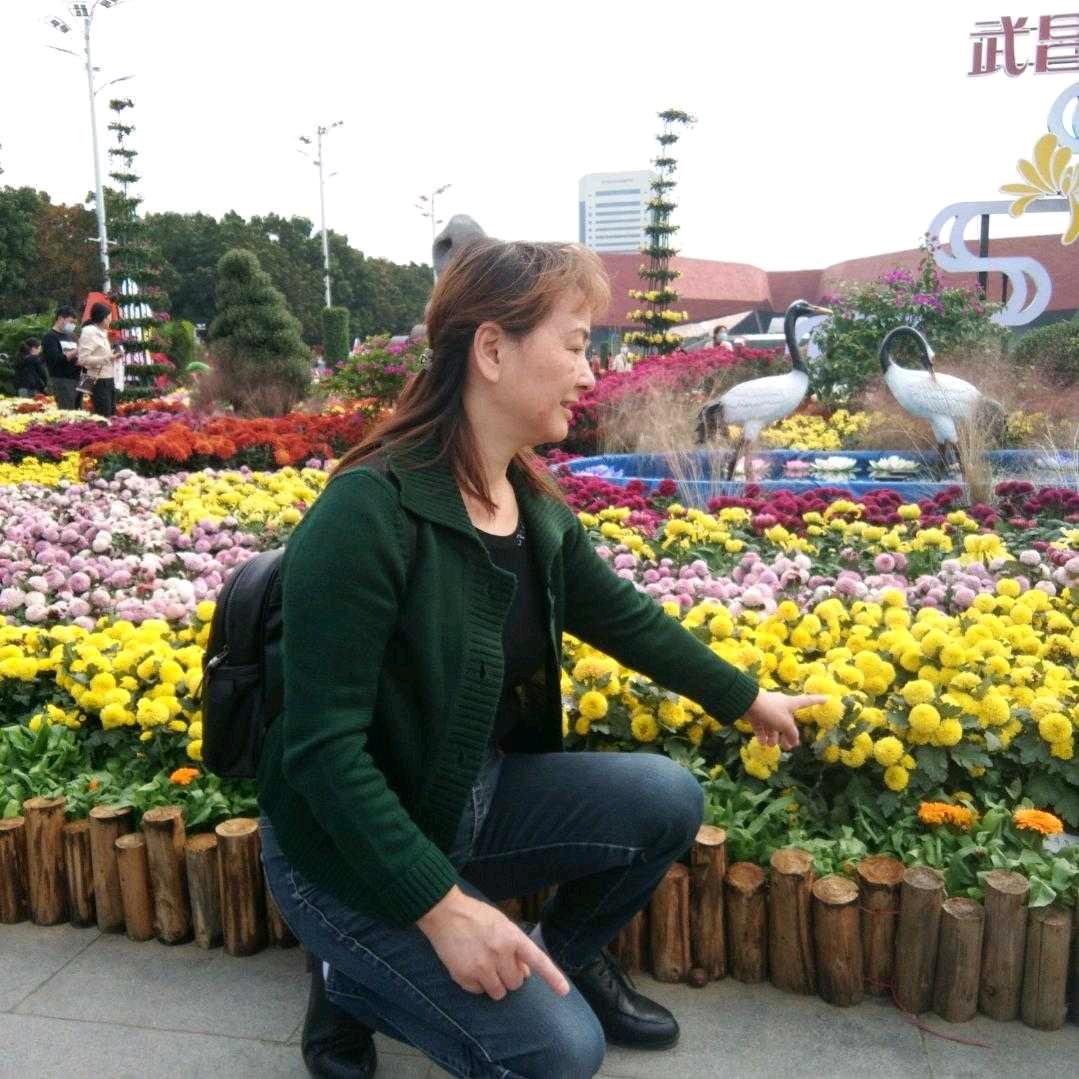 荆州盼盼