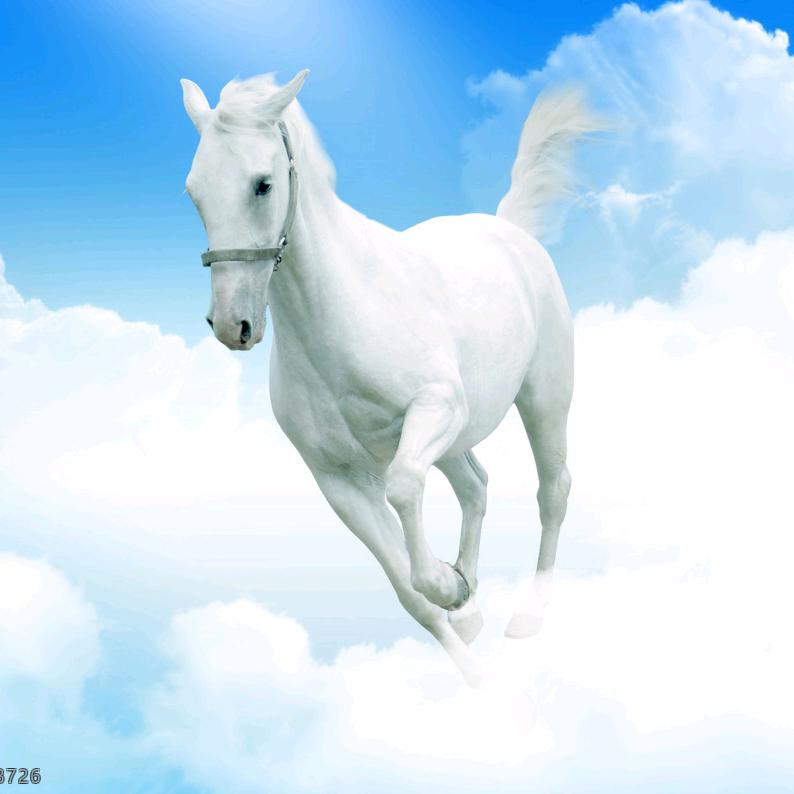 白马...好运王子