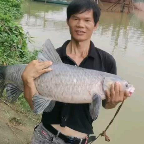 聪少🐟钓鱼🐟