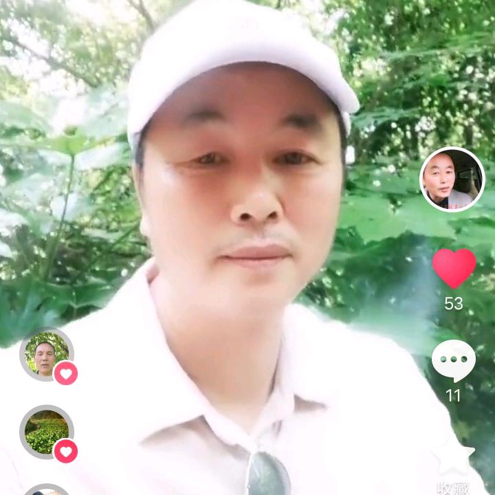 金福禄