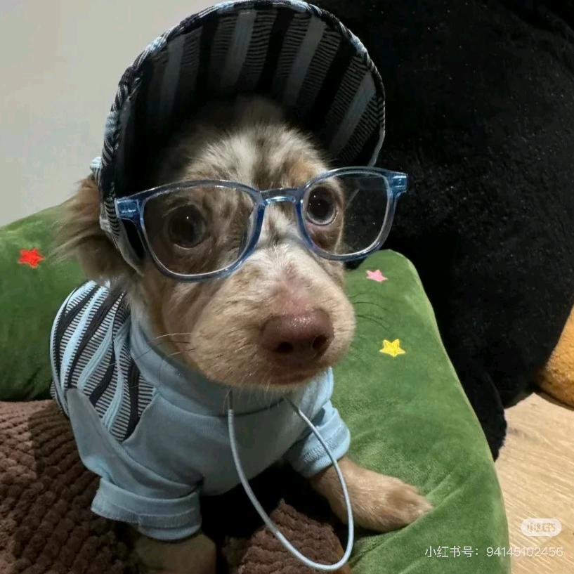 千马商业美陈定制中心