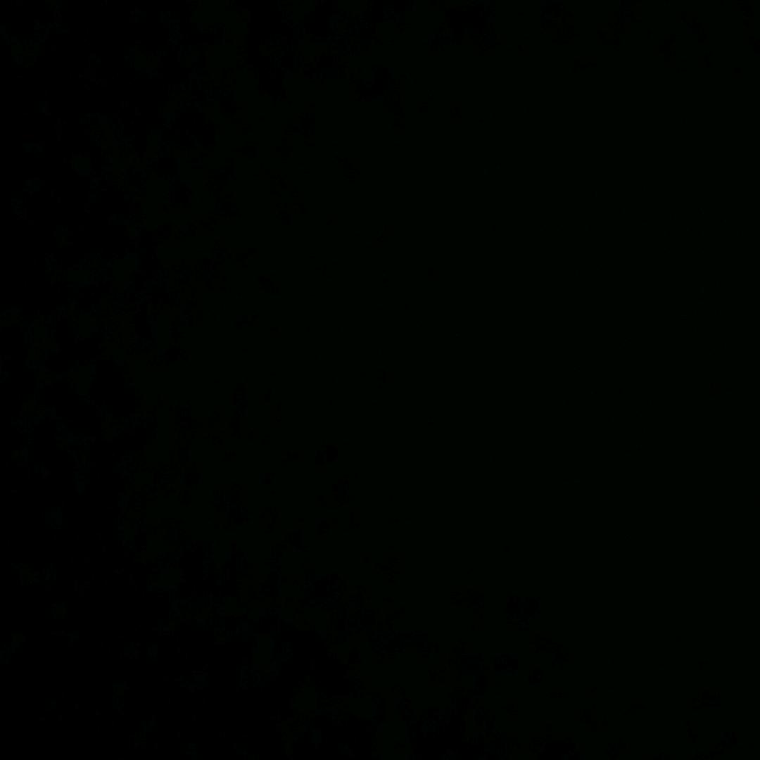 子桥