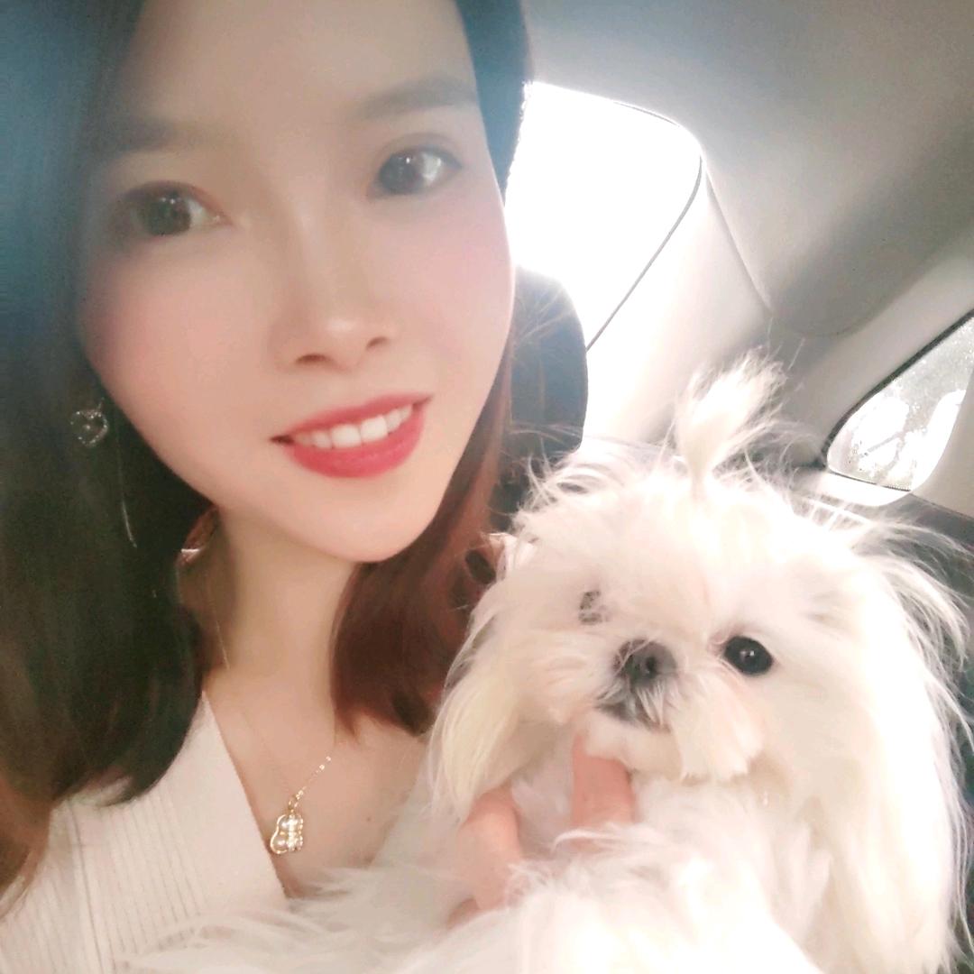 ❀一只小松许oO