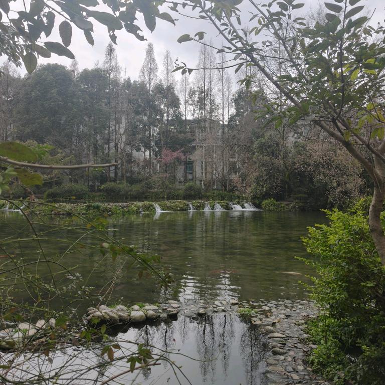 坚如磐石