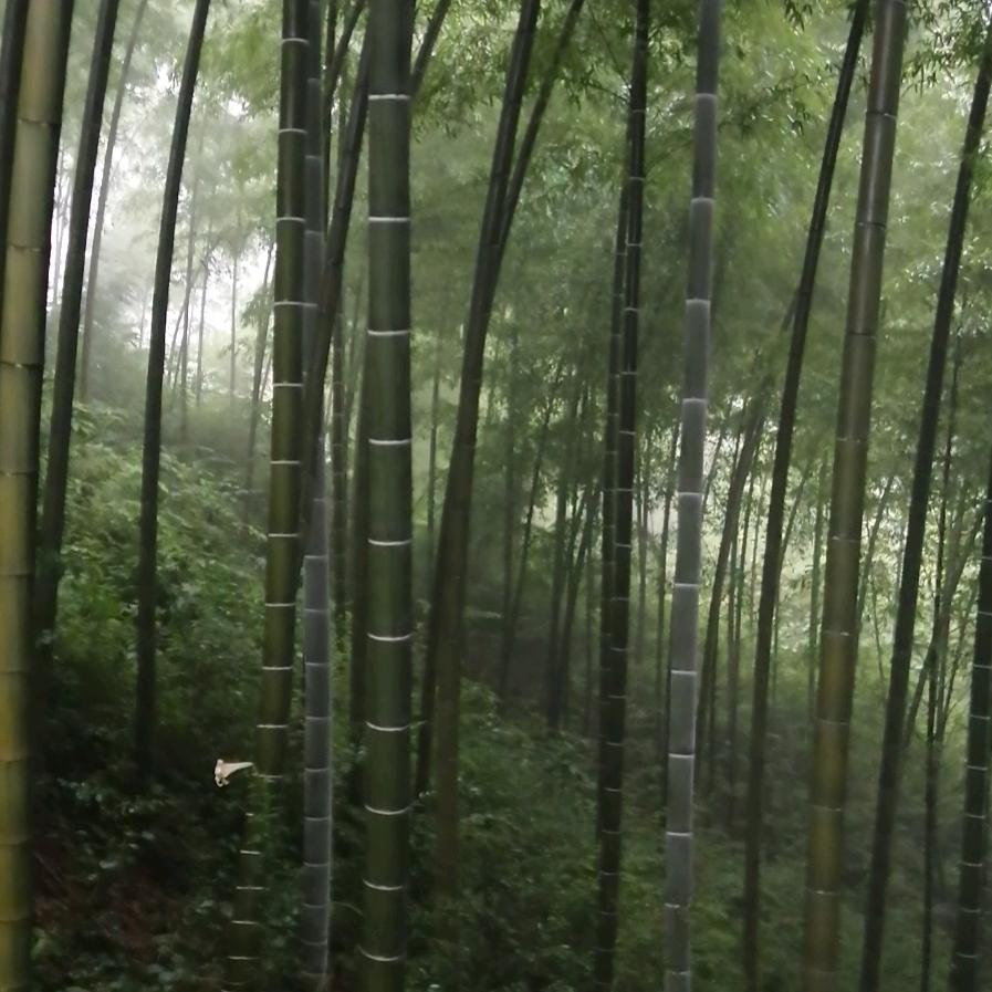 皈依佛门