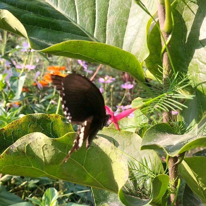 家和万事兴7866974348301