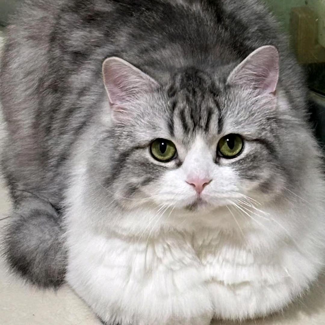 小鬼的泼天富贵