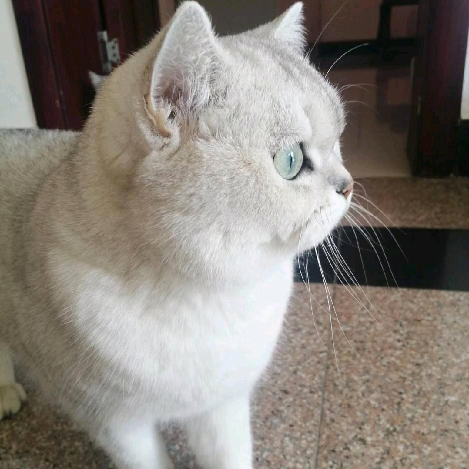 顺口溜们