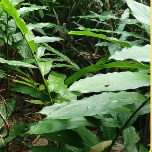 甄选好物～(￣▽￣～)~