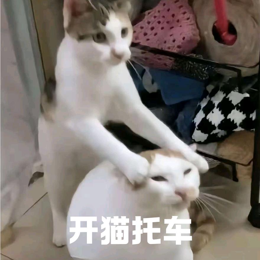 五十老登想学压弯