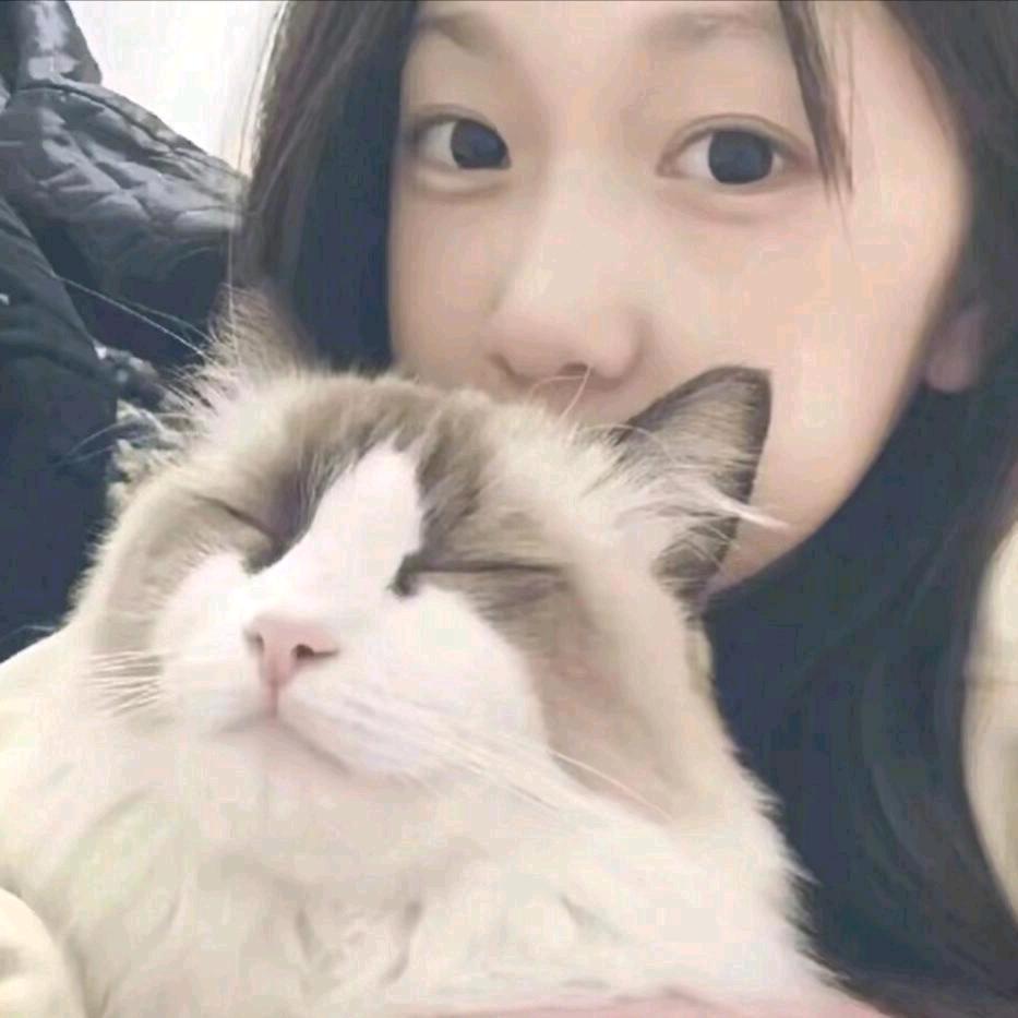 陆月