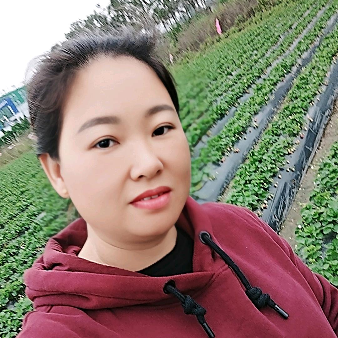 @海囗市.小陈牛奶草莓园🍓🍓🍓