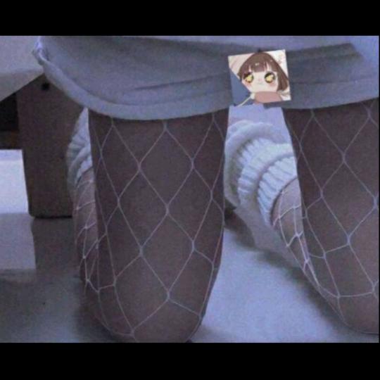 安迪迪迪