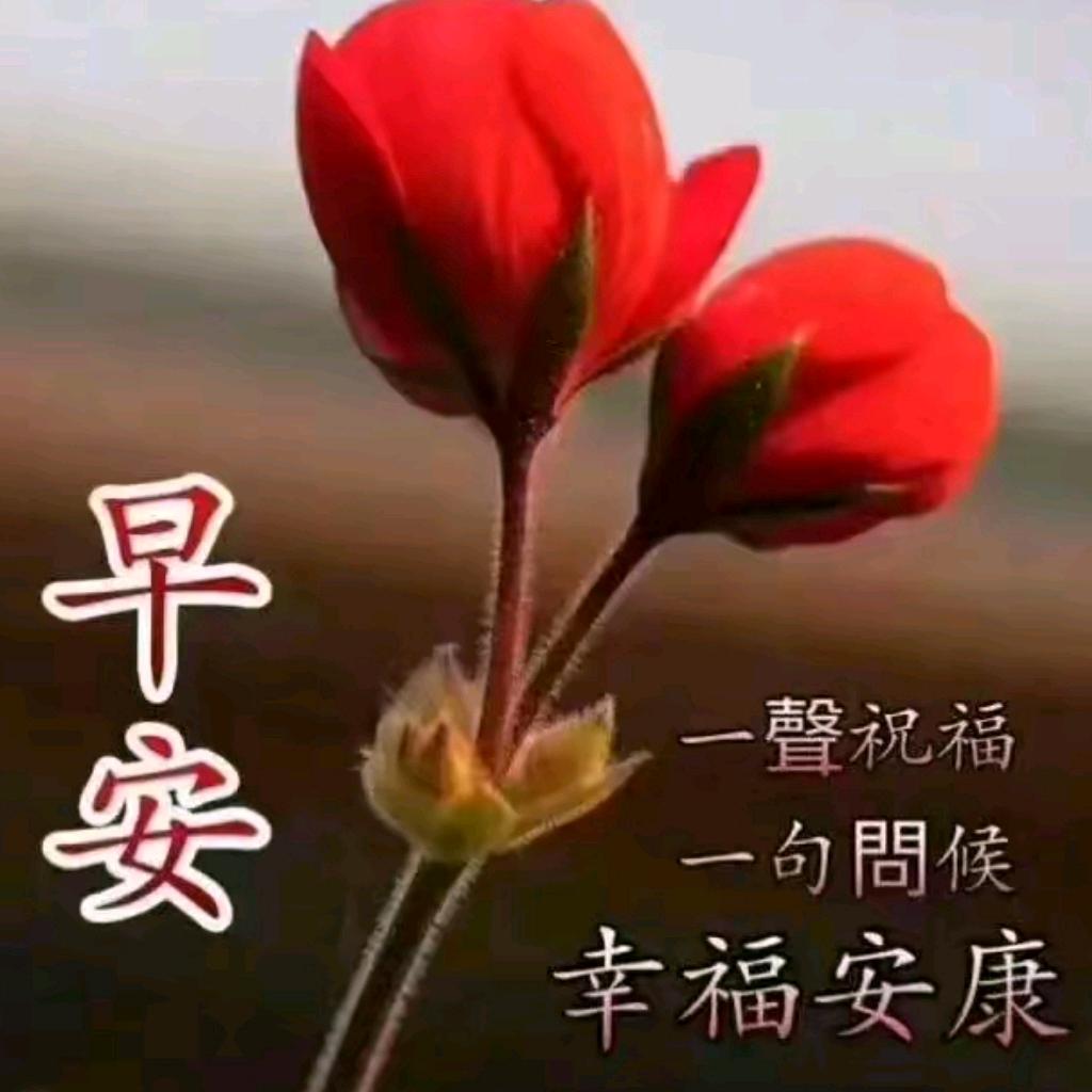 一声平安