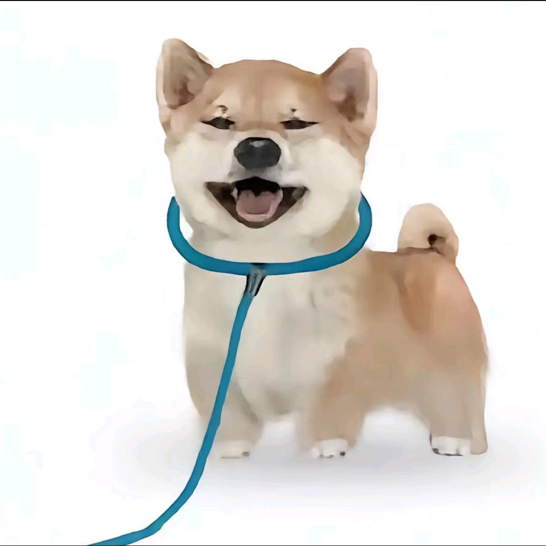 有只花卷很皮（→划煮叶召鼠鼠）