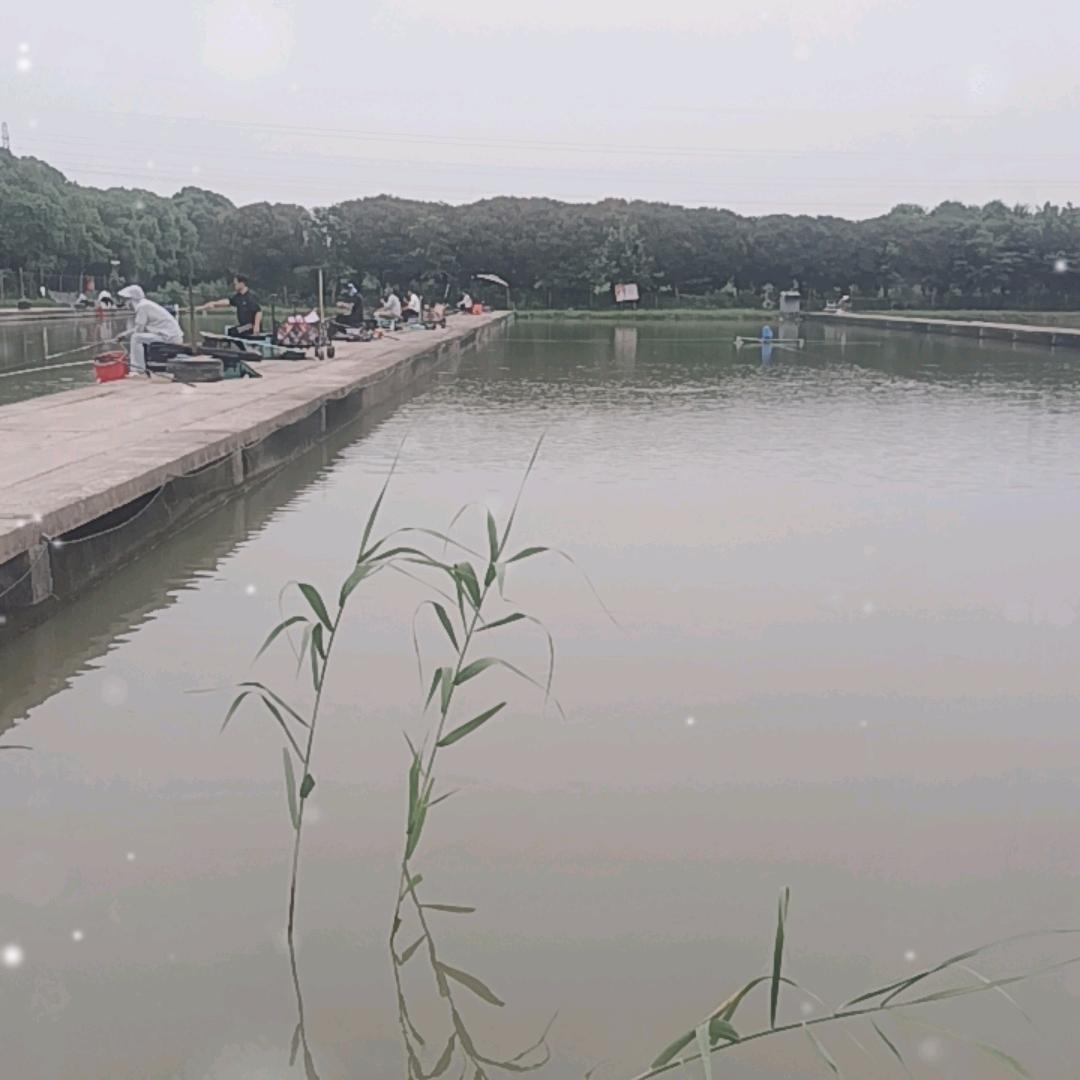 鱼聚源钓场