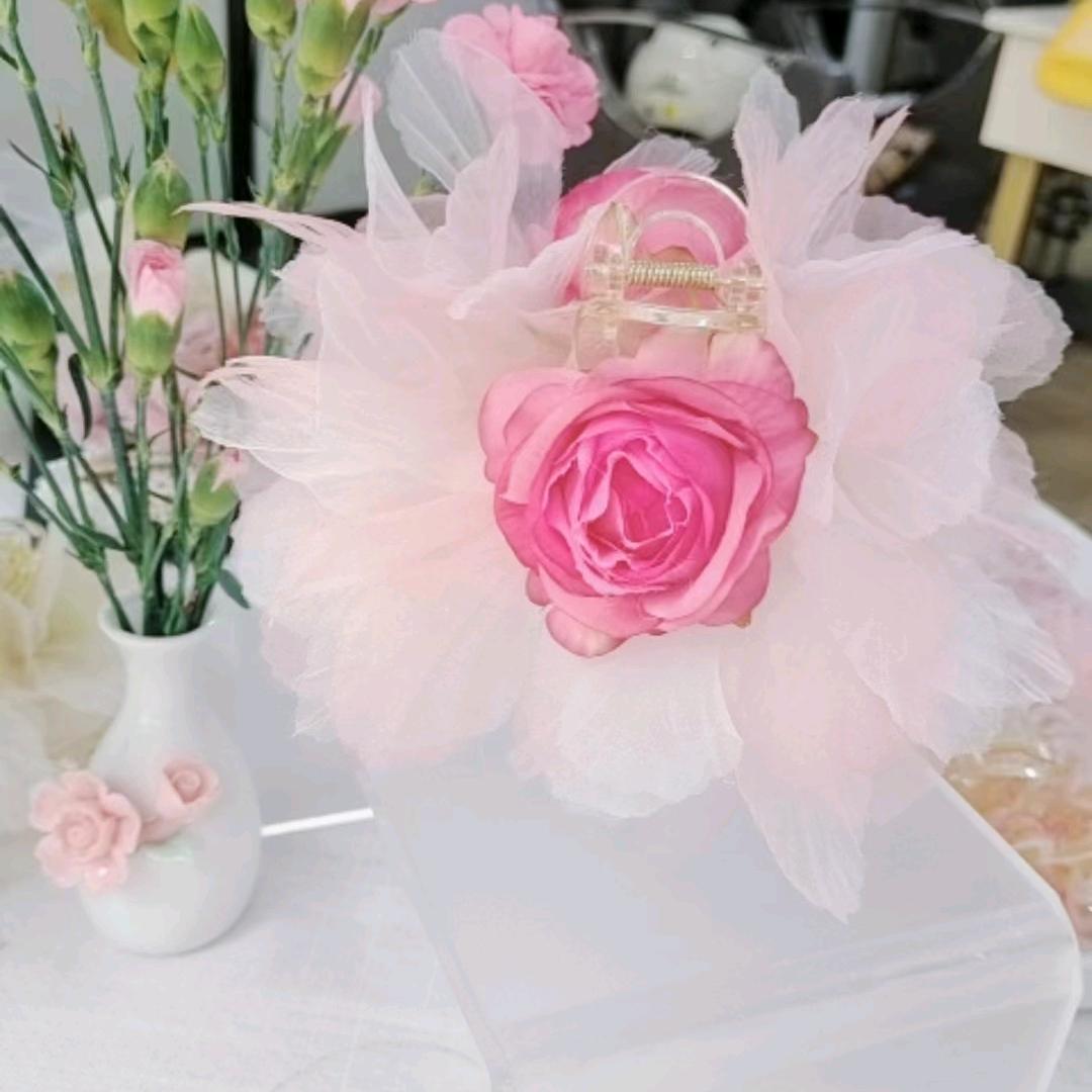 不理不彩植博仕中药白养黑