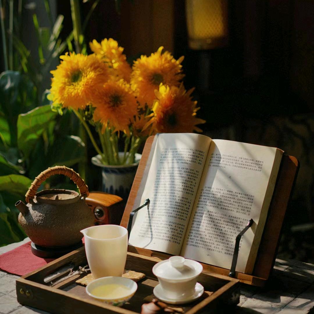 丽辰悦读