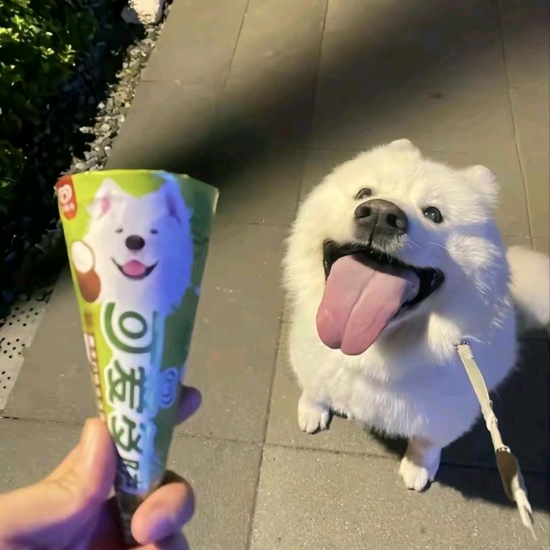 他们
