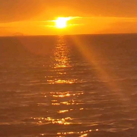 《鞋慕～湖南鞋业》崇贤店香花