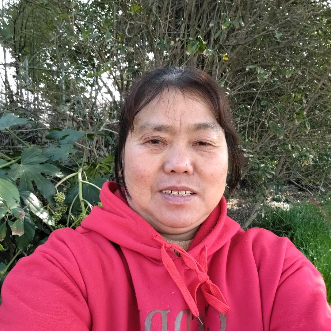 涂姐姐