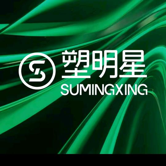 塑明星旺思思