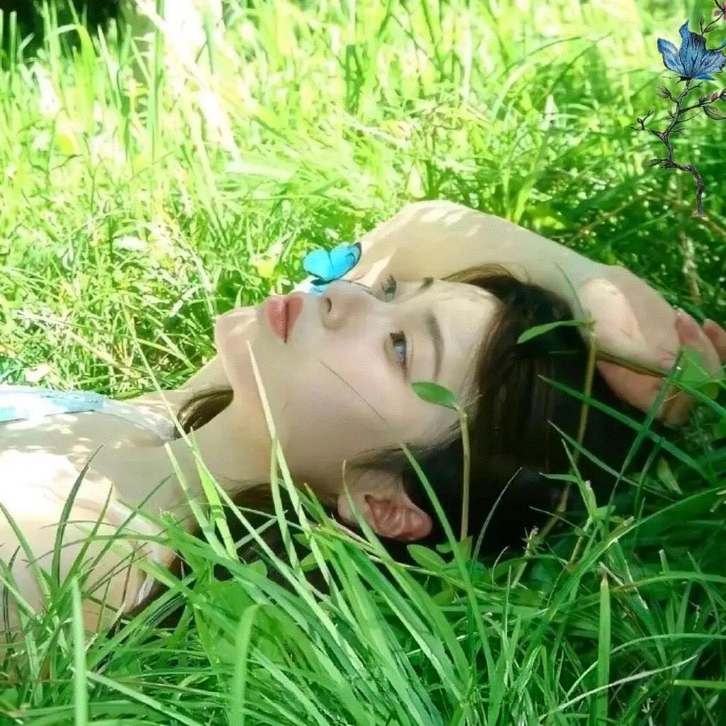 金豆白银的傻猫傻狗日常