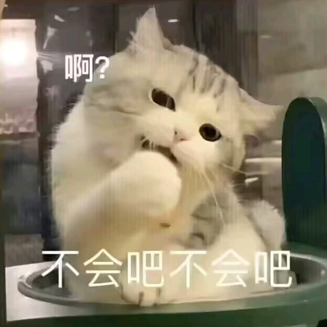 手忙脚乱大笨锤