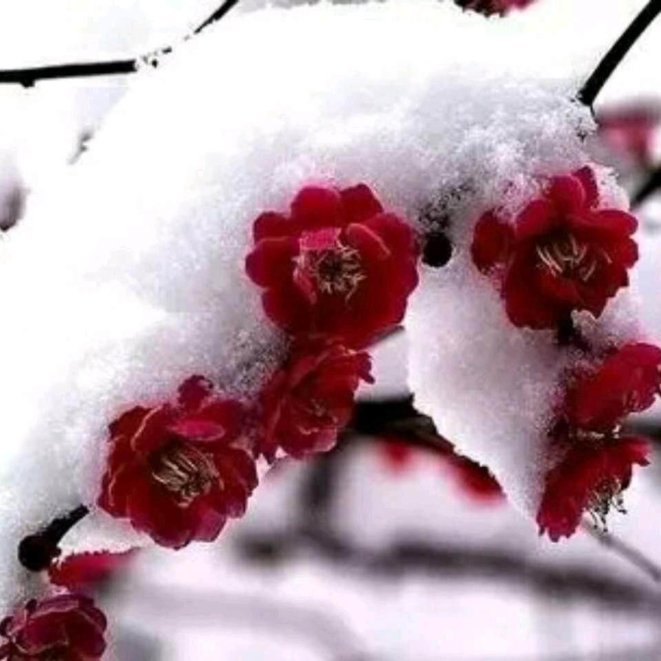 千金难买我开心💋💄💍👠