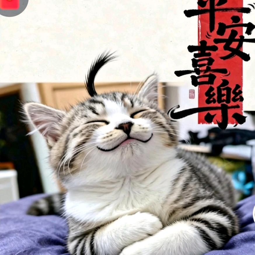 乄懒