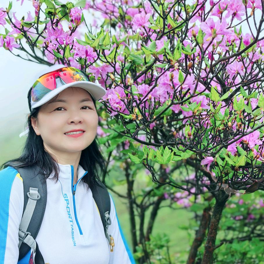 杜鹃花开
