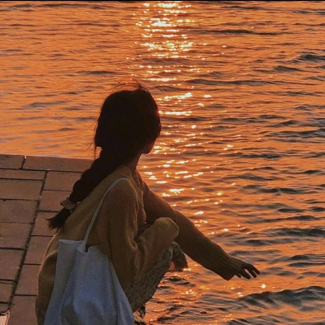 芳子潮壳