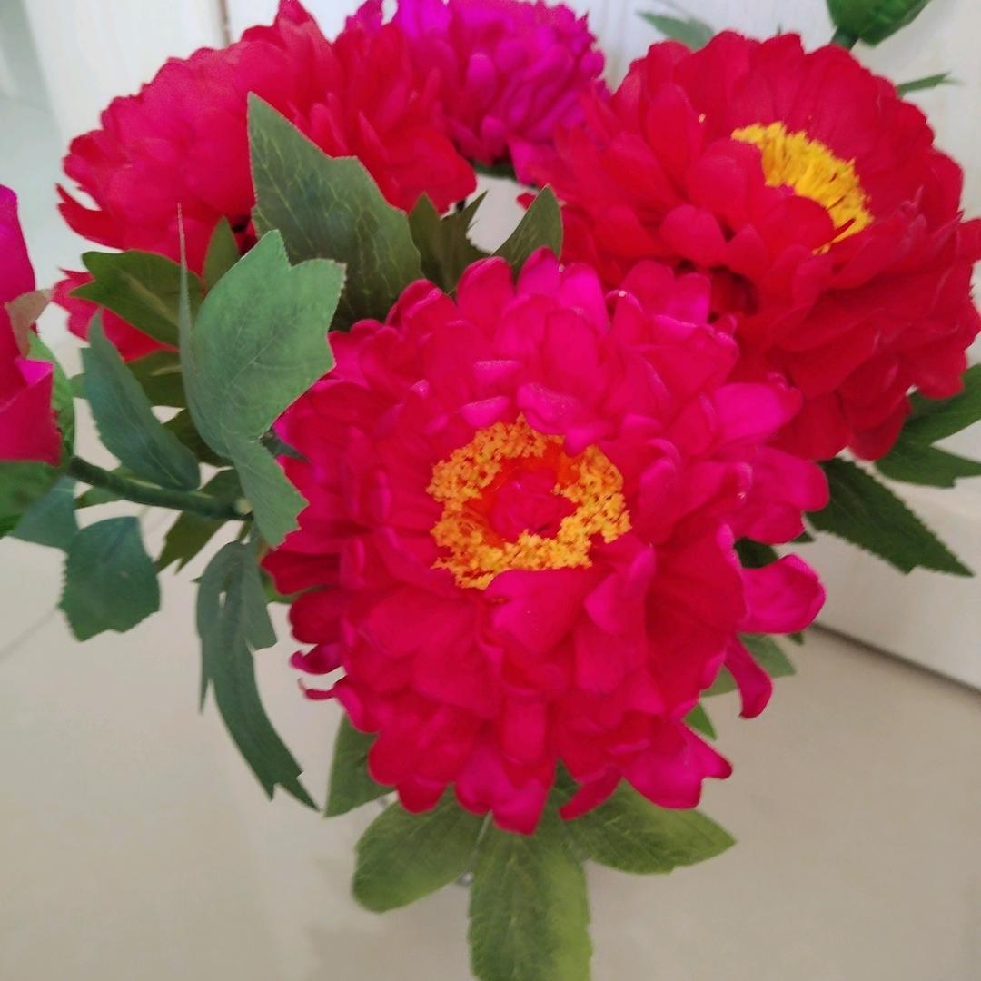 春暖花开🌸🌸🌸