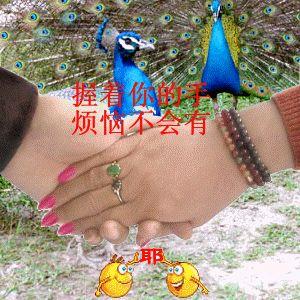 梦里啥都有