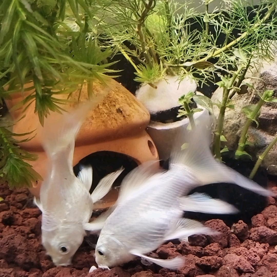 珍惜……