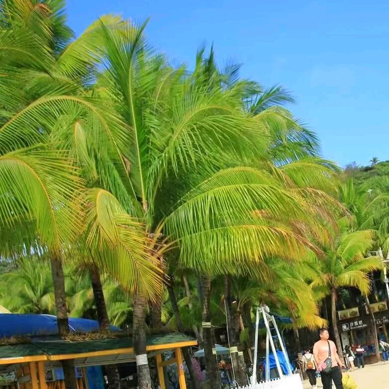 丽姐的健康饮食